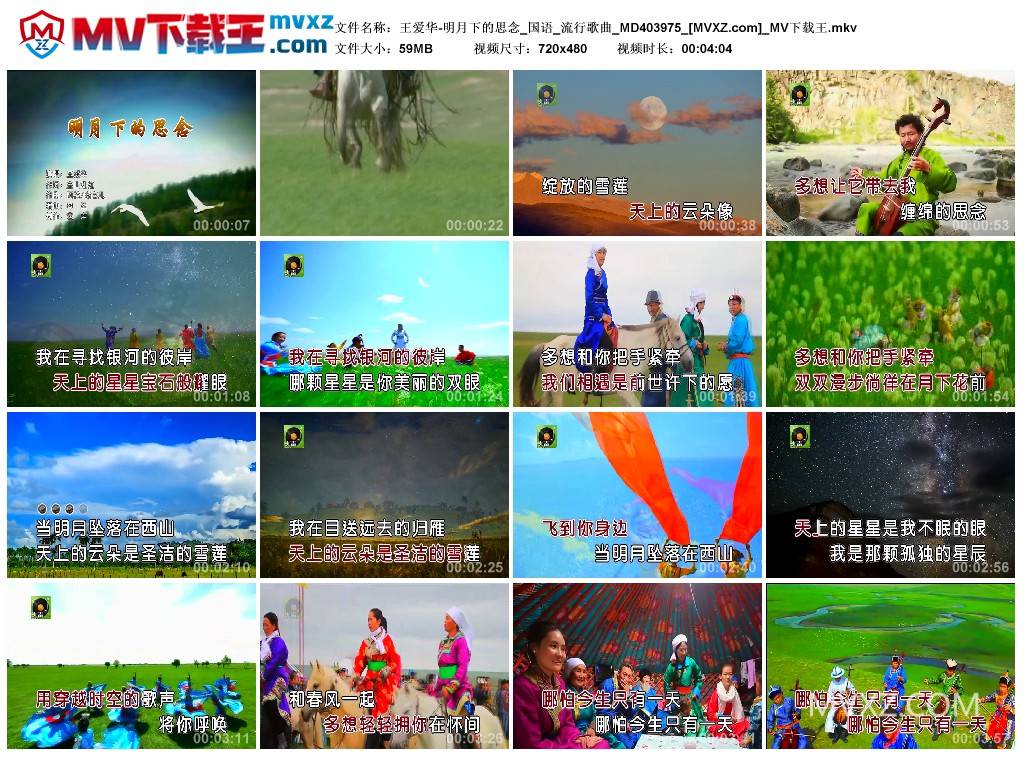 王爱华-明月下的思念_国语_流行歌曲_MD403975